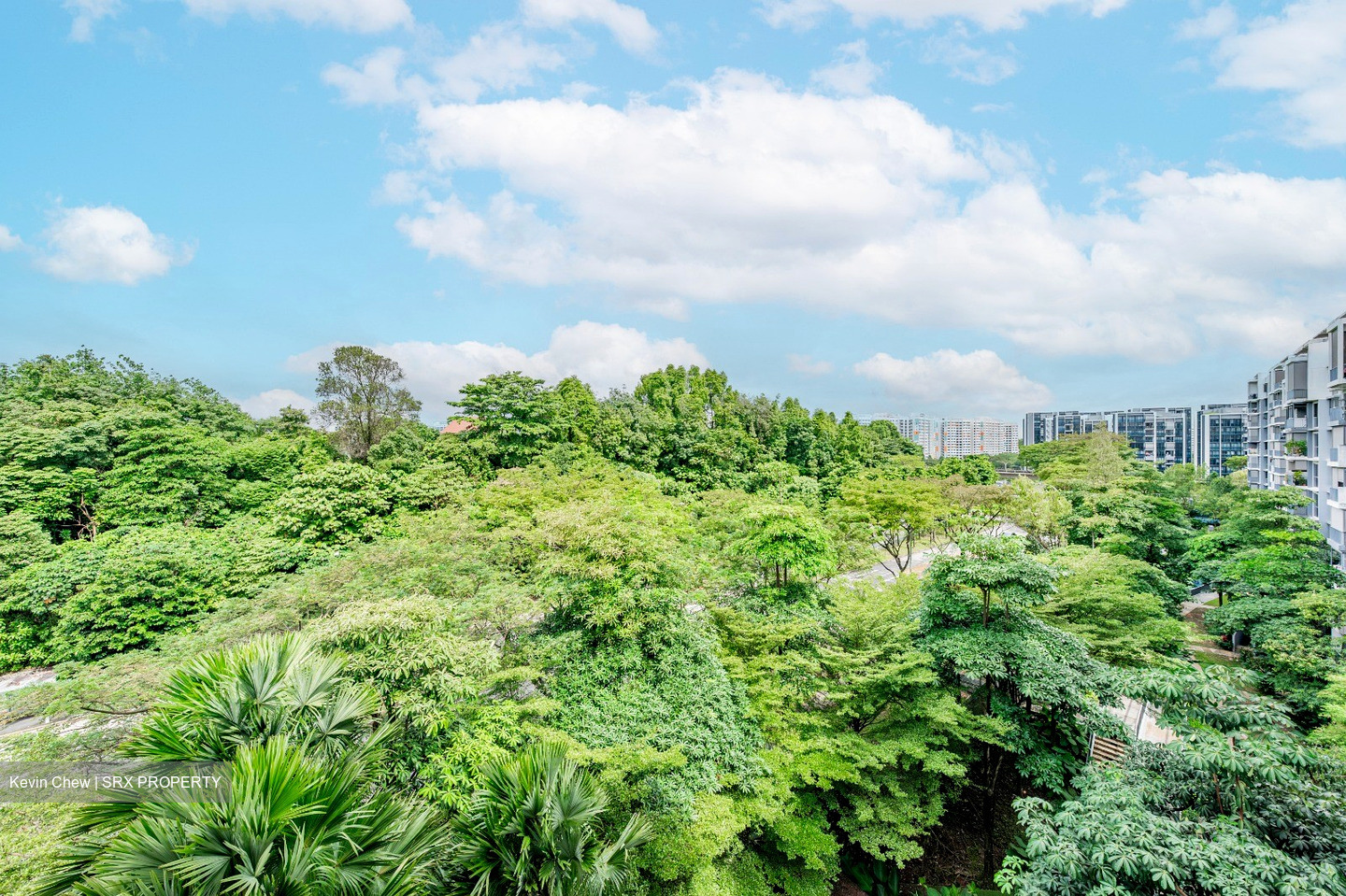 The Visionaire (D27), Condominium #487092921